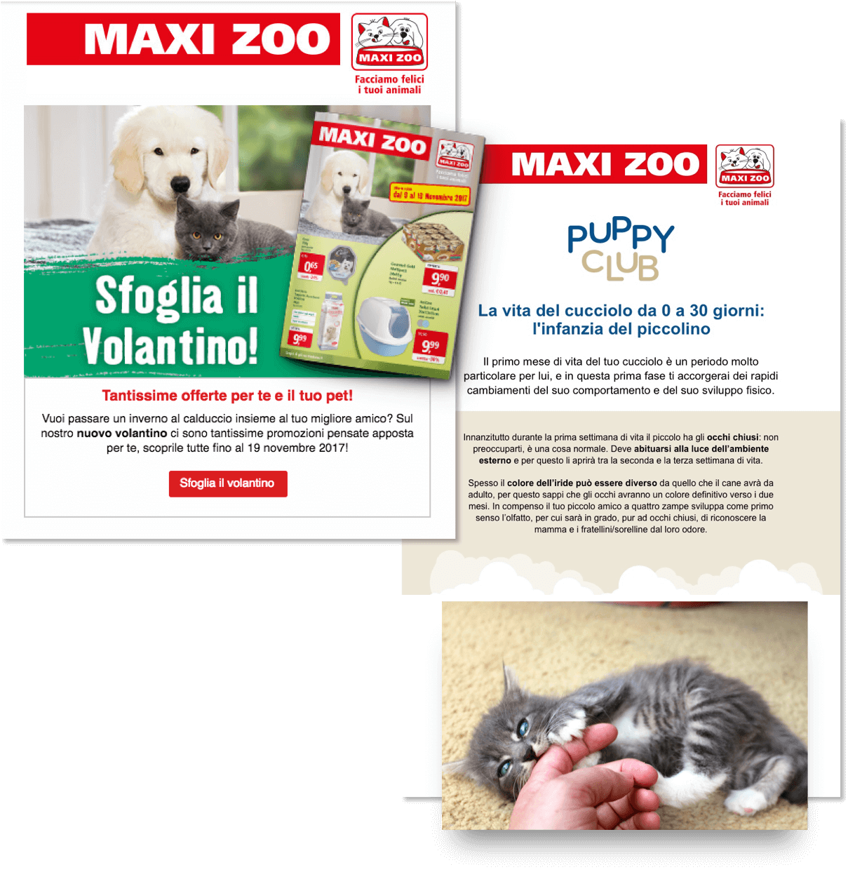 zoo marketing strategy